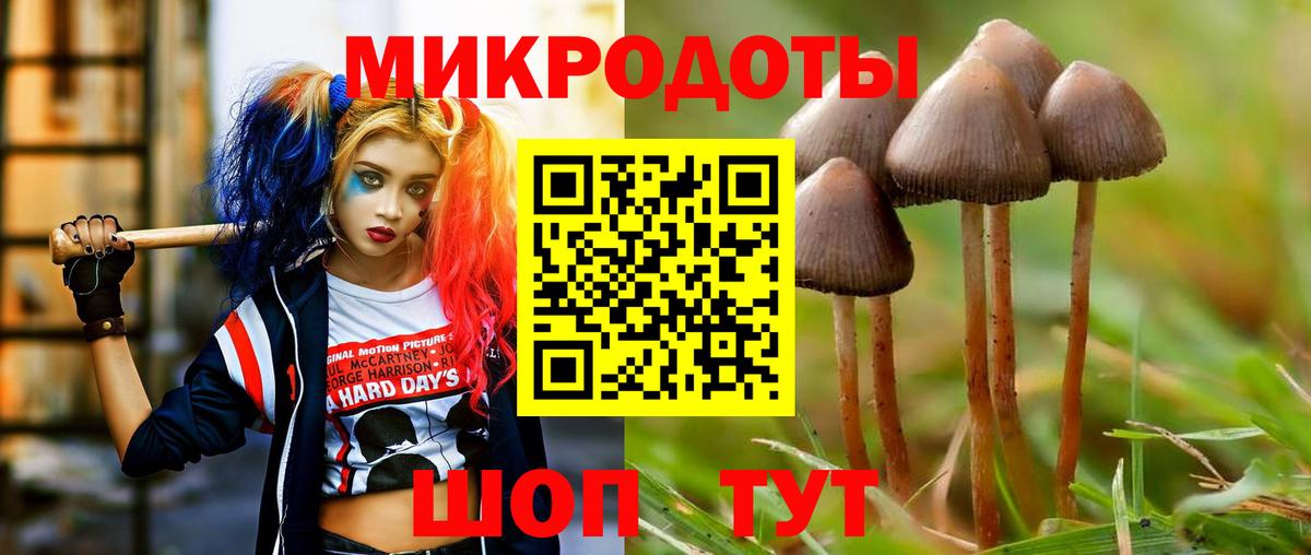 Псилоцибиновые грибы Psilocybe  даркнет сайт  Вход с VPN  Карталы  Галлюциногенные грибы мицелий 